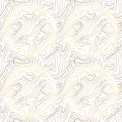 Fototapeta premium Geometric vector pattern with wavy lines in gold colour. Topographic map template.
