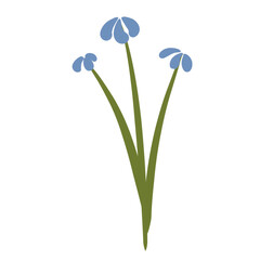 blue flower isolated on white