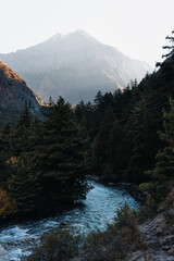 Mountain, River, and Forest, a beautiful balance of nature.