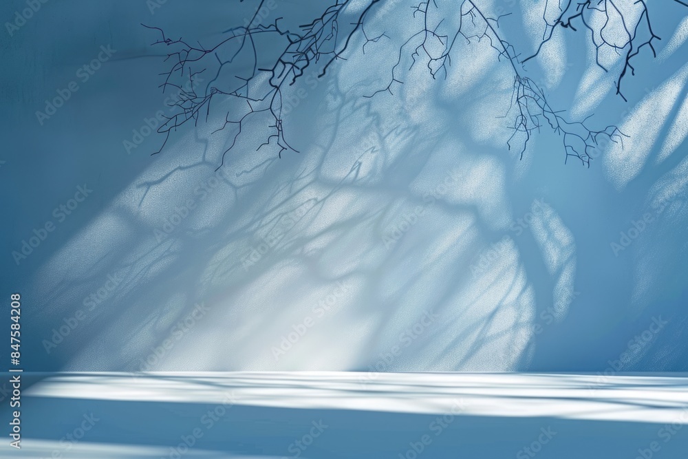 Poster light blue background with subtle tree shadow for product presentation.