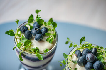 Tiramisu. Homemade dessert in glasses with blueberries, cream and ladyfingers garnish with blueberries and oregano. Soft focus.
