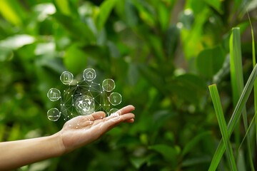 Technology,   Hands holding  globe of tropical nature summer background,