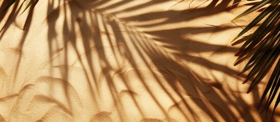 Fototapeta premium Background concept for travel and vacations: Tropical beach sand with palm tree leaf shadows.