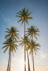 Palm trees against a blue sky.