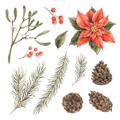 Collection of Christmas elements, poinsettia, mistletoe, pine cones, berries and fir branches. Watercolor isolated elements are suitable for New Year cards, seasonal decorations and design projects