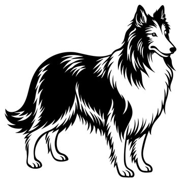 Lassie dog silhouette vector illustration
