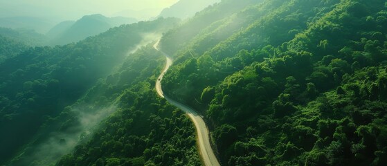 Aerial view of green forest and mountain path, sustainability roadmap concept