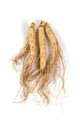 Chinese medicinal herb ginseng roots isolated on white background.