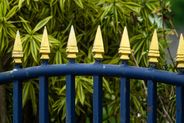 A blue fence with yellow spikes on it. The fence is surrounded by green plants