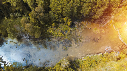 Countryside Pond from Above with Trees and Fields