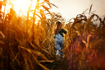 Young girl overalls running through Corn field from behind