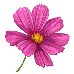 Fototapeta premium Bright Pink Cartoon Flower Illustration