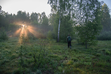 person walking in the woods