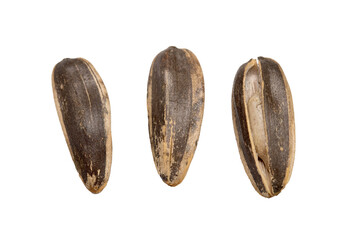 Gray large sunflower seeds on a white background