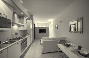 One-room bed and breakfast apartment, white interior design, open space: kitchen with dining table, living room with sofa