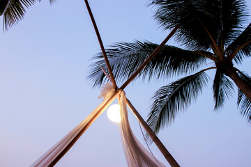 Experience the tranquility of a tropical evening with palm leaves swaying under the moonlight