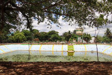 View of a small pond and trees in a village in Tamil Nadu India 