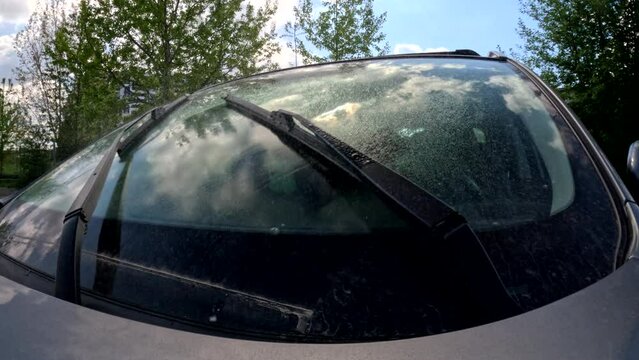 man driving car view through windshield