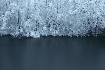 Verschneite Bäume im Winter entlang eines Flusses