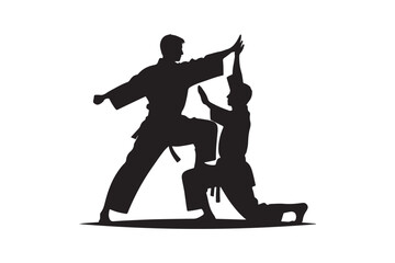 Silhouette martial arts demonstration.