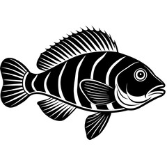 black and white fish
