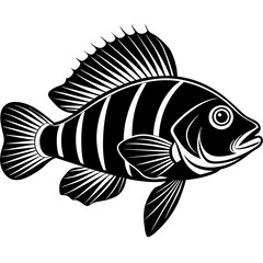 Wrasse fish silhouette vector art illustration.