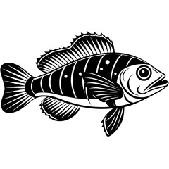 Wrasse fish silhouette vector art illustration.