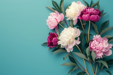 Obraz premium Elegant bouquet with white, pink, and burgundy peonies, a stunning display of floral beauty