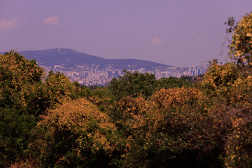 Evening sea view off the coast of Istanbul. Orange sunset sky 