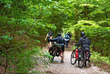 Walking and cycling on the Camino de Santiago. Stage 2: Stage from Roncesvalles to Zubiri
