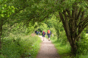 Way of St. James. Couples of pilgrims under dense trees. Stage 2: Stage from Roncesvalles to Zubiri
