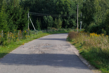Road path in a park or forest. Beautiful sunny landscape