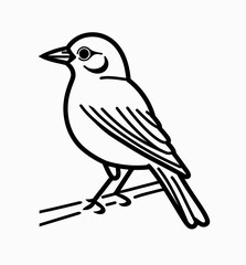 illustration of a bird
