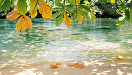 Tropical leaf shadow on water surface. Shadow of palm leaves on white sand beach. Beautiful abstract background concept banner for summer vacation at the beach.