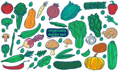 Colorful Vegetable Doodle Illustration set. Hand drawn set of vegetables isolated on white background.