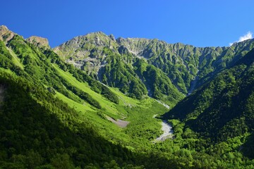 Fototapeta premium 上高地の夏景色