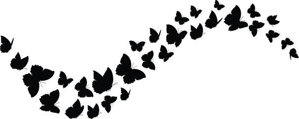 Black butterfly silhouettes. Outline butterflies romantic tattoo, tropical insects stencil. Summer and spring exotic symbols isolated vector set. Elegant wild flying moth of various shape	