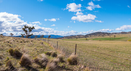 Australia highlands valley rural farming gum trees panorama
