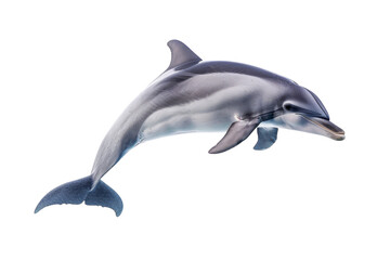 Obraz premium High-resolution image of a dolphin swimming gracefully in clear blue waters. Perfect for marine wildlife and ocean-themed projects.