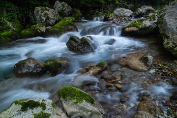 美しい川の流れ