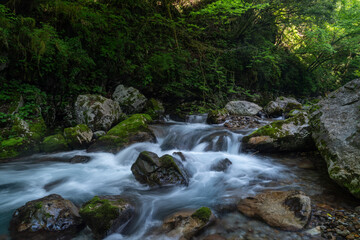 美しい川の流れ