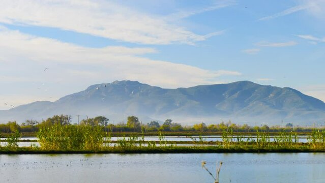 Par nature reserve- biodiversity, environment, fauna