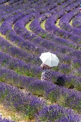 Woman with her back turned, wearing a flowery dress and holding a white umbrella in the middle of a stunning lavender field.