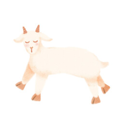 Fototapeta premium watercolor goat