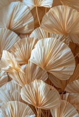 Dried Palm Leaf Fan Bouquet