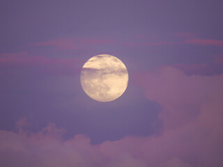 Magnificent view of the surface of rising full moon in a colorful summer sky