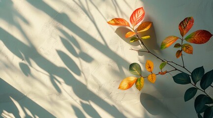 Autumn Branch With Red, Yellow, and Orange Leaves Against a White Wall in Sunlight