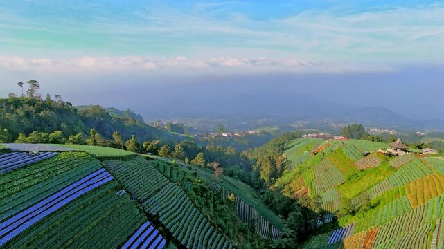 Beautiful mountain plantations and village bellow in Indonesia, aerial view