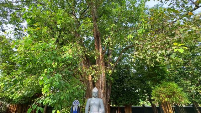 Buddha statue with flowers in Mendut monastery, tilt down view