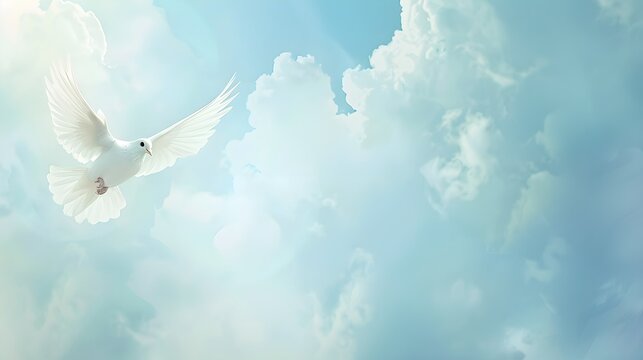 sky funeral background with white dove, copy space for text